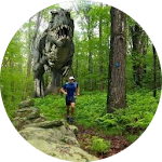 <a href="https://www.google.com/maps/contrib/109667601403223500725?hl=en-US&sa=X&ved=2ahUKEwjot4zX7J_7AhXySPEDHeIvBdMQvvQBegUIARCHAQ">Paul Blankman</a>